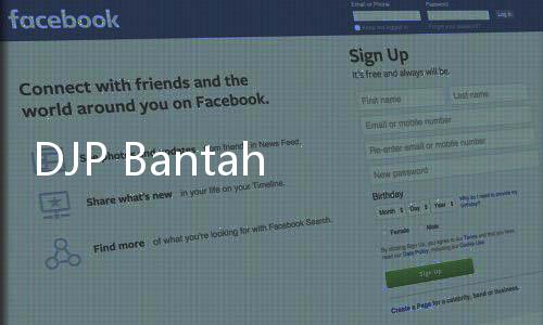 DJP Bantah Ada Kebocoran Data NPWP dari Sistem