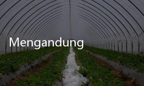 Mengandung Alkohol, Bagaimana Hukum Makan Durian dalam Islam?